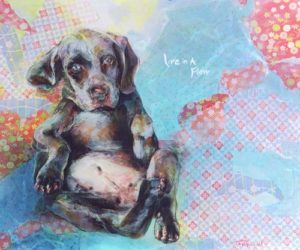 Live in a flow, Collage, Puppy