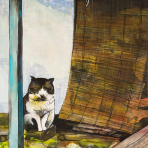 The cat who knows everything about the house.