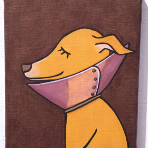 Italian Greyhound with an Elizabethan collar
