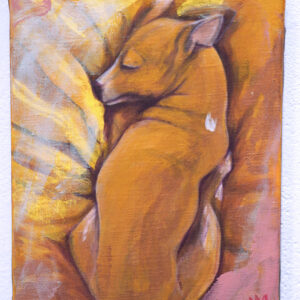 Italian Greyhound #02